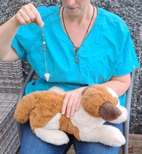 Tierenergetikerin Natascha Fernandez pendelt mit einer Kette und Edelsteinen über einem Plüschtier 
