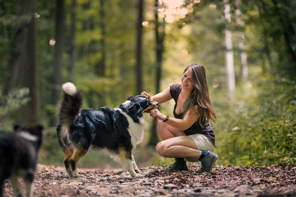 Frau spielt mit schwarz weißem Australian Shepherd Hund Stöckchen im Wald