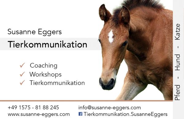 Fohlen auf Visitenkarte mit Kontaktdaten von Tierkommunikatorin Susanne Eggers