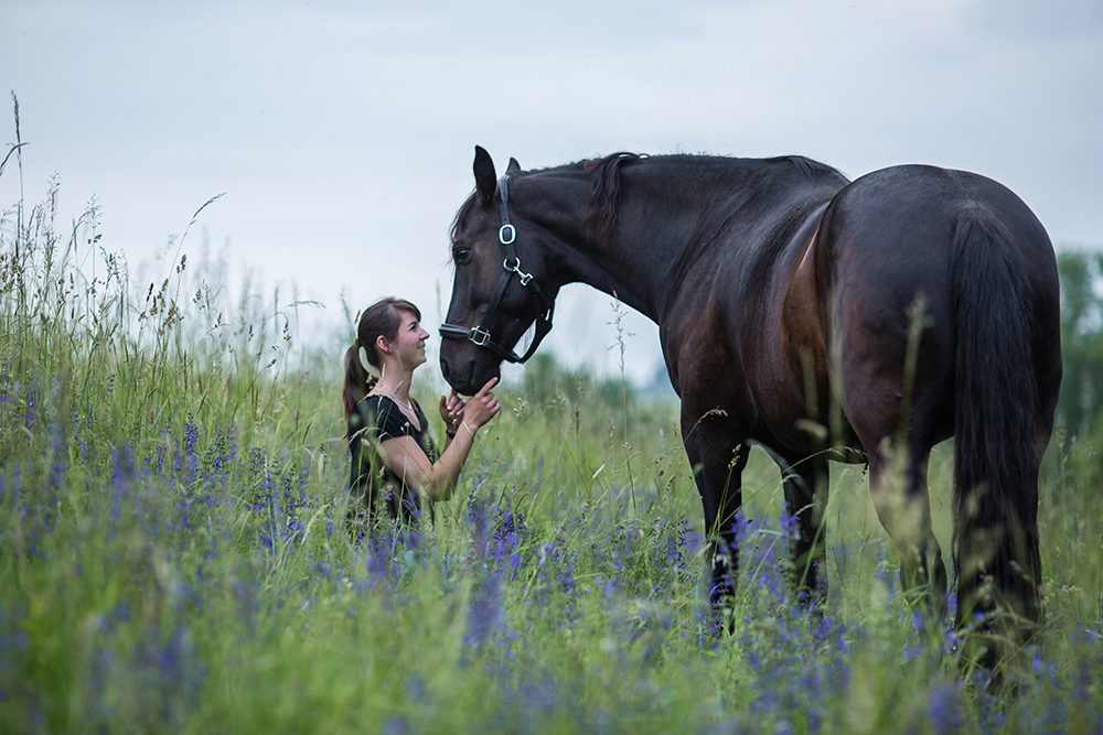 Tierkommunikation auf einer blauen Blumenwiese zwischen einem schwarzen Pferd und Susanne Eggers