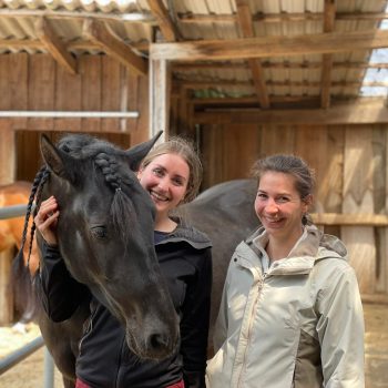 schwarzes PRE Pferd schaut zu Reiterin im Pferdestall